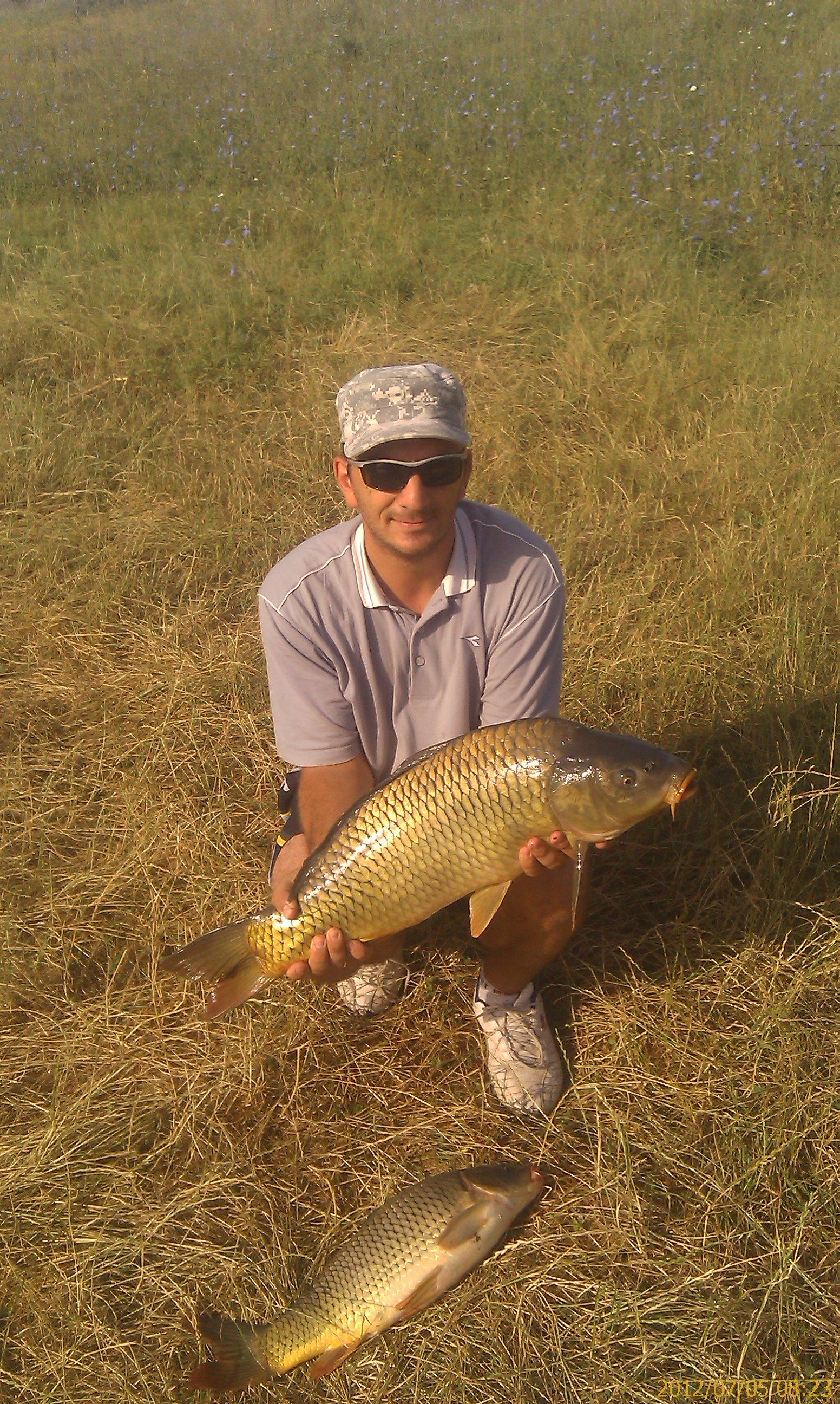 pestii mei - IMAG0253.jpg